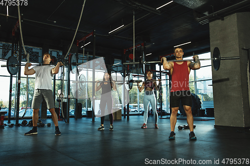 Image of A group of muscular athletes doing workout at the gym