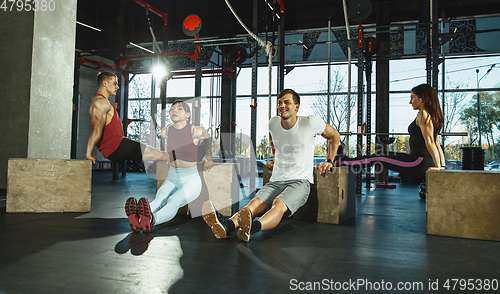 Image of A group of muscular athletes doing workout at the gym