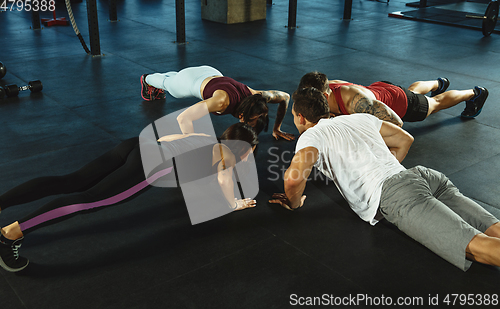 Image of A group of muscular athletes doing workout at the gym