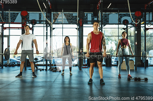 Image of A group of muscular athletes doing workout at the gym