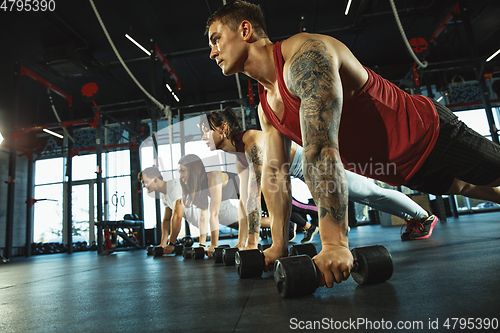 Image of A group of muscular athletes doing workout at the gym