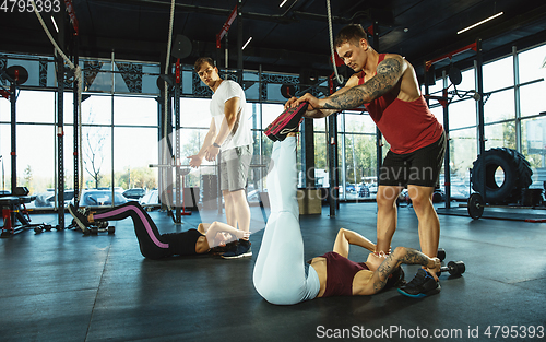 Image of A group of muscular athletes doing workout at the gym