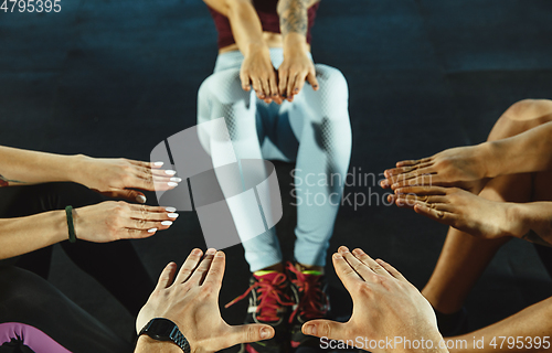 Image of A group of muscular athletes doing workout at the gym