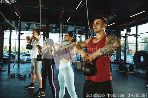 Image of A group of muscular athletes doing workout at the gym