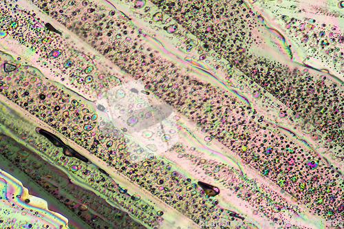 Image of colorful Sodium acetate micro crystals