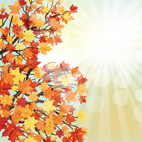Image of Autumn 