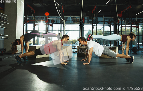 Image of A group of muscular athletes doing workout at the gym