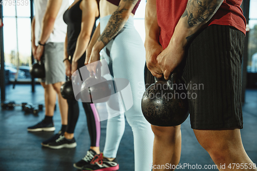 Image of A group of muscular athletes doing workout at the gym