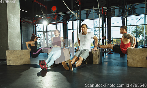 Image of A group of muscular athletes doing workout at the gym