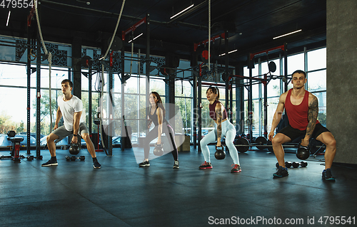 Image of A group of muscular athletes doing workout at the gym