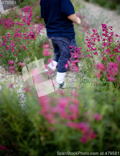 Image of Boy and Flowers