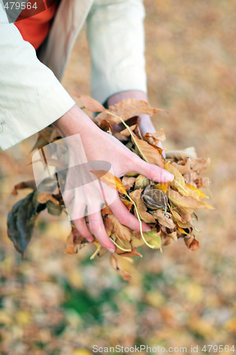 Image of woman holding leaves