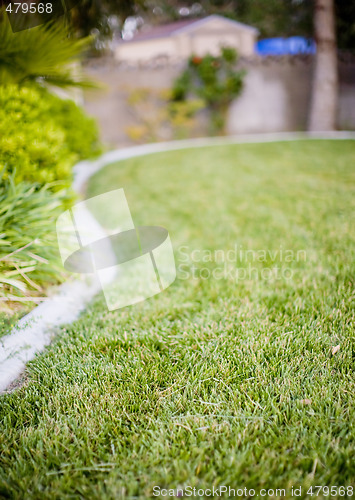 Image of grass landscaped yard