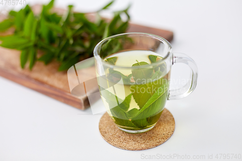 Image of herbal tea with fresh peppermint on wooden board
