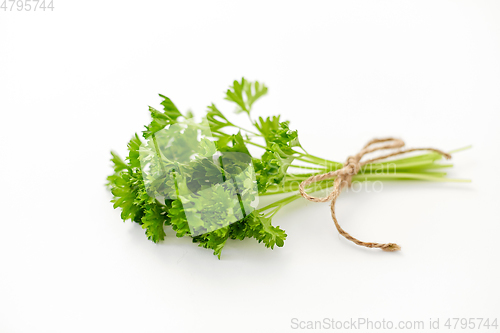 Image of bunch of parsley on white background