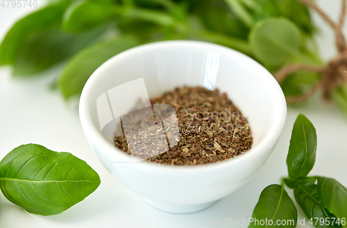 Image of fresh basil and dry seasoning on white background