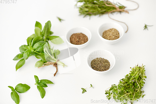 Image of fresh and dry seasoning on white background