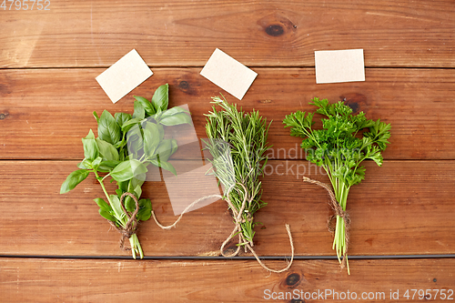 Image of greens, spices or medicinal herbs on wooden boards