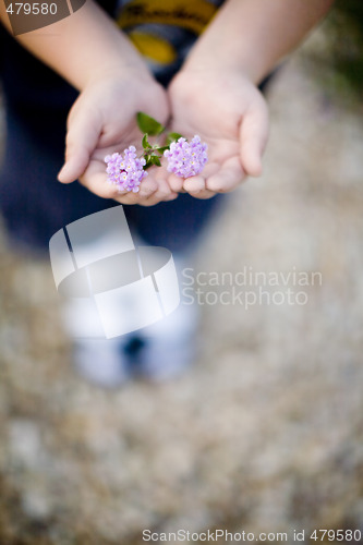 Image of kid holding flower