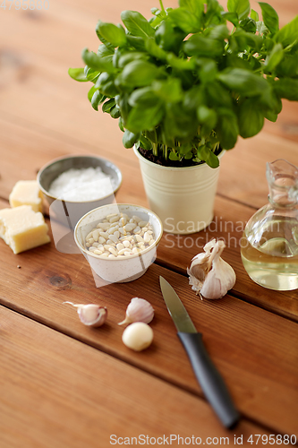 Image of ingredients for basil pesto sauce on wooden table