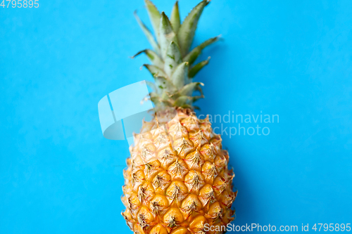 Image of close up of pineapple on blue background