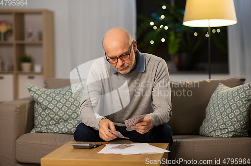 Image of senior man counting money at home