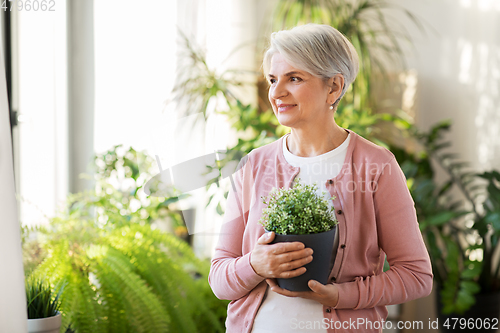 Image of happy senior woman with flower in pot at home