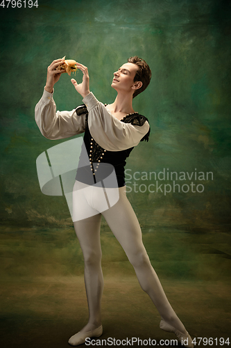 Image of Young ballet dancer as a Snow White\'s character, modern fairytales