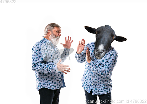 Image of Senior man arguing with himself as a donkey on white studio background.