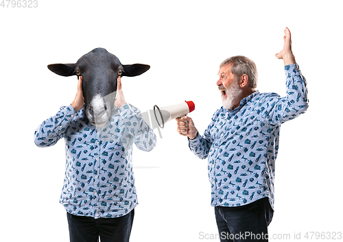 Image of Senior man arguing with himself as a donkey on white studio background.