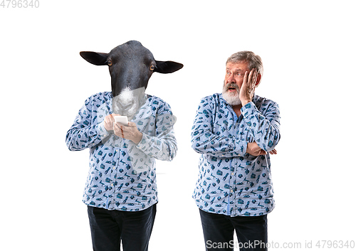 Image of Senior man arguing with himself as a donkey on white studio background.