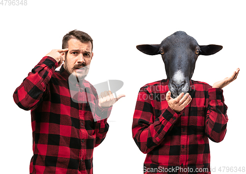 Image of Man arguing with himself as a donkey on white studio background.