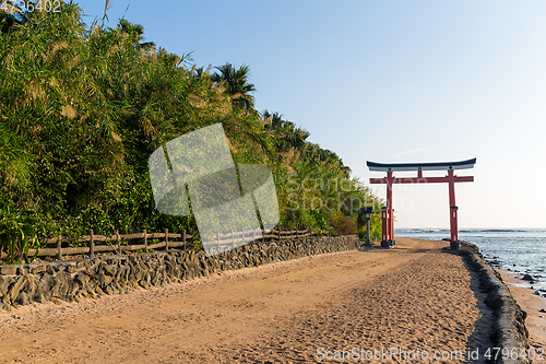 Image of Red Torii in Aoshima Shrine