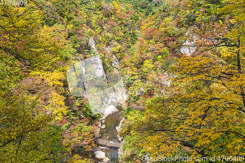 Image of Rocky cliffs in Miyagi