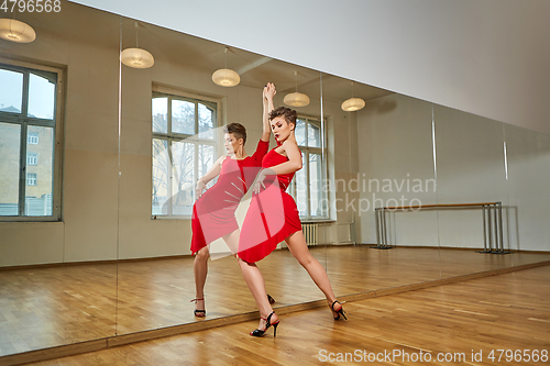 Image of tango dancer woman excersizing in dance studio room