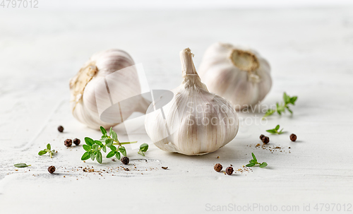 Image of composition of garlic and spices