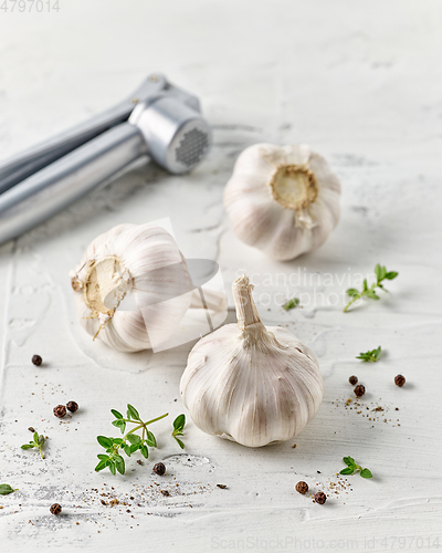 Image of composition of garlic and spices