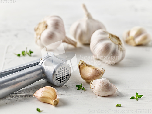 Image of composition of garlic and spices