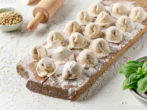 Image of fresh homemade dumplings