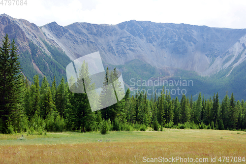 Image of High mountains and glade with wood year daytime