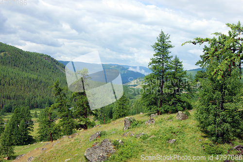 Image of Colorful year landscape with mountain and wood