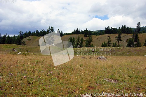 Image of Valley in mountain altai year daytime landscape
