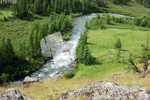 Image of Colorful type on bugle river and wood