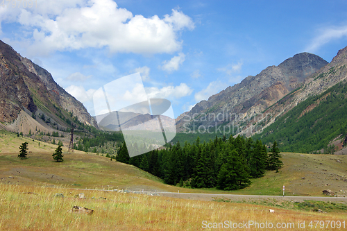 Image of Colorful year landscape with mountain and wood