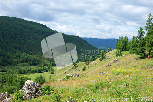 Image of Colorful year landscape with mountain and wood