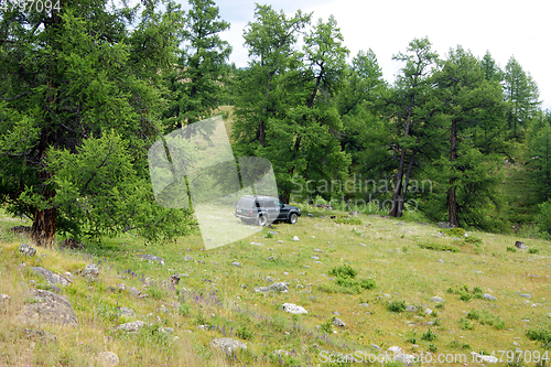 Image of Car travellier on glade beside wood year daytime