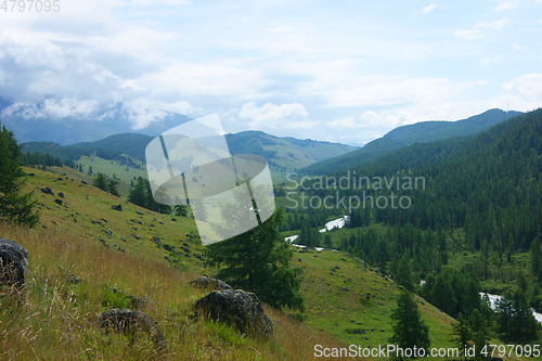 Image of Mountain Altai summer valley in mountain with wood