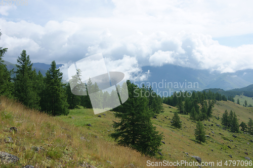 Image of Beautiful landscape of the nature Mountain Altai summer