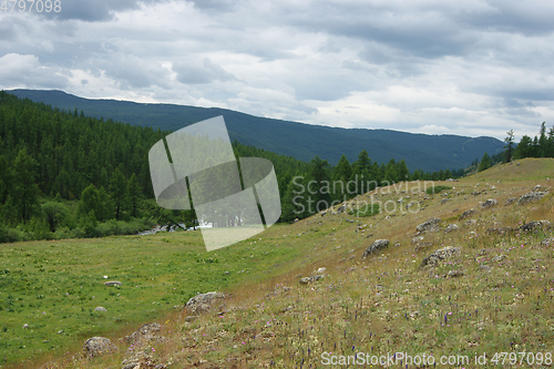 Image of Colorful year landscape with mountain and wood