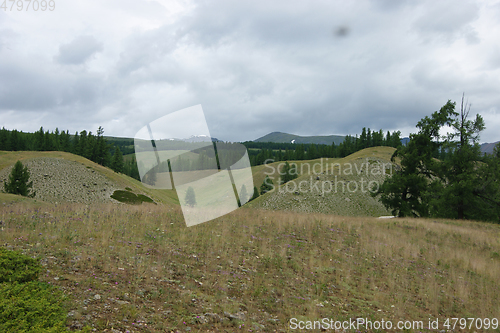 Image of Colorful year landscape with mountain and wood